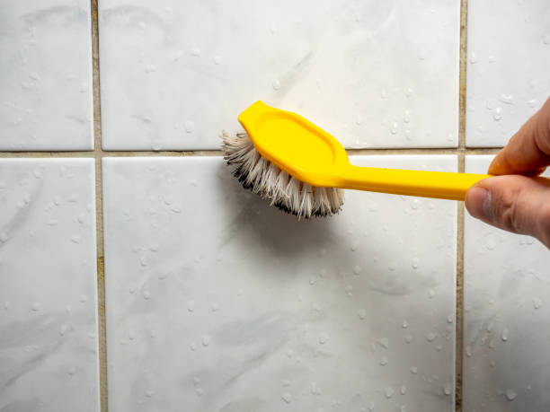 Best Mold Testing  in Avalon, PA