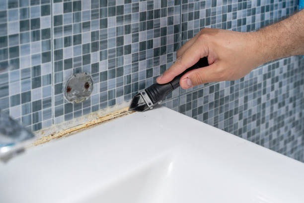 Best Affordable Mold Removal  in Avalon, PA